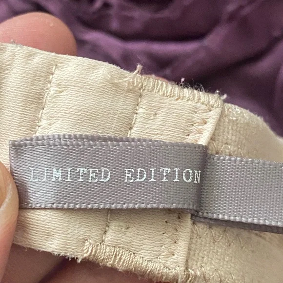 Aerie limited edition rhinestone push up bra beige nude 34C - Picture 11 of 16